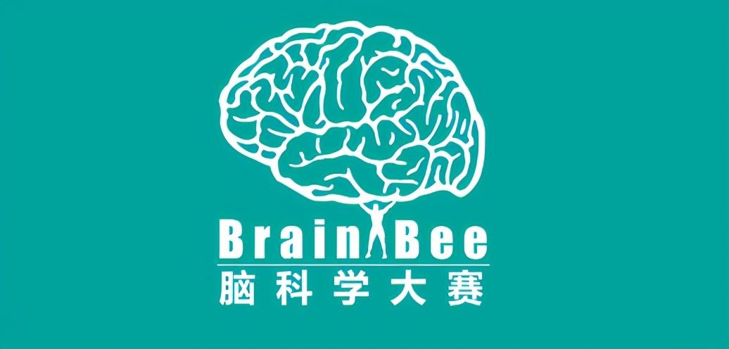 在脑科学比赛中，实外国际部学子是如何一往无前的？